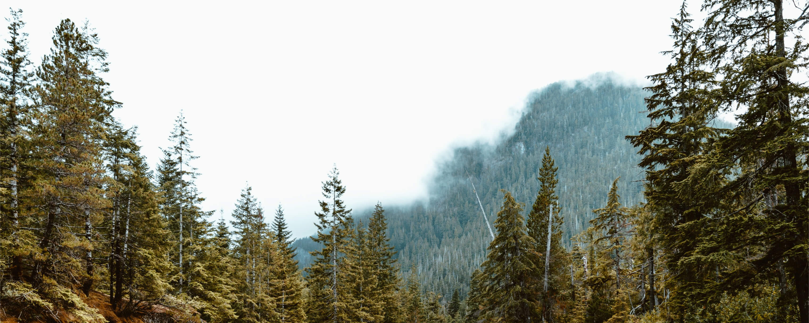 Die Welt des Mates entdecken