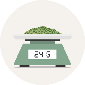 Dosage - How much mate do I need?