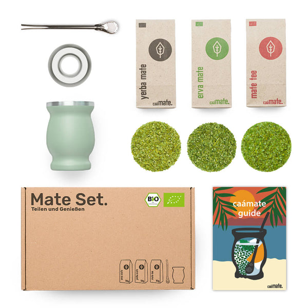 What is included in the Mate Starter Set Stainless Steel?